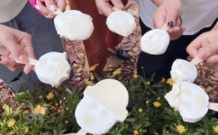 全高清视频直播系统